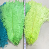 60-65cm grande taille carnaval Costume plume d'autruche en différentes couleurs plume d'autruche plumes teint plume d'autruche