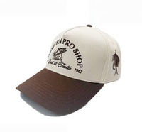 Gorras de Béisbol Bordadas para Hombre y Mujer, Gorra con Bordado 2D Personalizado, Logotipo Bordado Frontal Personalizado, Gorra Trucker Personalizada