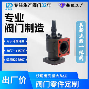 Válvula de Retención Liyongda de Hierro Dúctil de Ángulo Recto para Compresor de Refrigeración con Función de Paro, para Uso con Nitrógeno y Amoníaco - Product Image 5