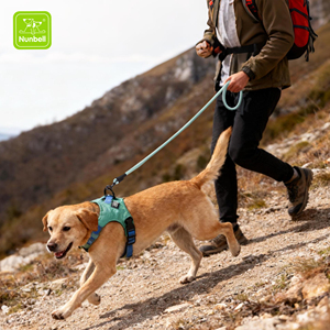 Correa de Nailon Ajustable y Antideslizante de Nunbell Factory, Correa Sólida y Suave sin Tirones, Control con Mosquetón de Aleación de Zinc, Profesional para Perros - Product Image 6