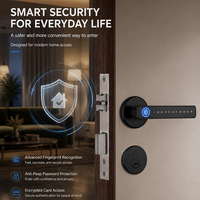 Serrure de porte intelligente de sécurité à levier, avec déverrouillage par mot de passe, empreinte digitale, carte magnétique et application mobile - Vente en gros