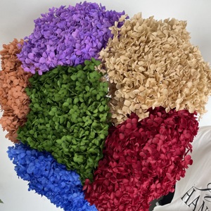 Ortensie Essiccate Naturali all'Ingrosso 55-65cm per Decorazioni da Tavolo Casa/Matrimonio Capodanno Cinese Fiori Decorativi - Product Image 3