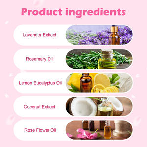 High Quality <strong>Secret</strong> Fragrance Long Lasting Promote <strong>Feelings</strong> 10ml Mini Sexy Perfume Spray for Women - Product Image 4