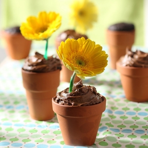 Mini <span class=keywords><strong>bricolage</strong></span> peinture plante <span class=keywords><strong>fleur</strong></span> fibre argile <span class=keywords><strong>terre</strong></span> cuite <span class=keywords><strong>pot</strong></span> <span class=keywords><strong>de</strong></span> <span class=keywords><strong>fleur</strong></span> <span class=keywords><strong>en</strong></span> céramique - Product Image 5