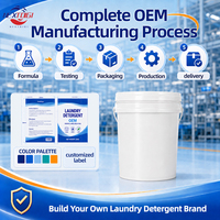Solution de fabrication OEM de détergent à lessive en marque blanche – Formule concentrée et équipement inclus