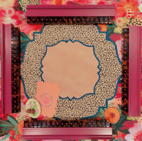 Nouvelle série Tortoise Joy 2026 : Jeu de tuiles de Mahjong américain en acrylique gravé – Cadeau de jeu de table pour adultes et divertissement de casino