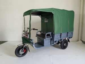 Triciclo eléctrico Camión de carga Triciclos eléctricos Scooter de movilidad Triciclo de movilidad resistente - Product Image 6