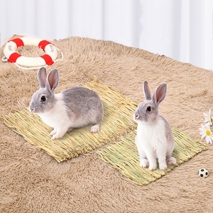 Tapis de paille moderne solide d'été tissé naturel nid de lit confortable pour lapins et cochons d'Inde fournitures pour animaux de compagnie - Product Image 1