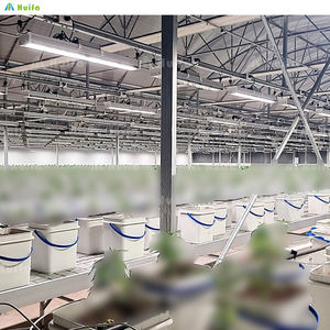 Intelligente Groeioplossingen Slimme Indoor Verticale Landbouw Mobiele Verticale Kweekreksystemen - Product Image 5