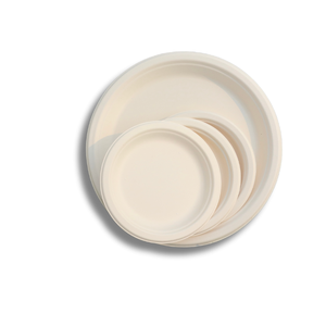 STAVIAN Assiettes de fête écologiques jetables compostables de la plus haute qualité 6-10 pouces Bagasse de canne à sucre 100% biodégradable - Product Image 1