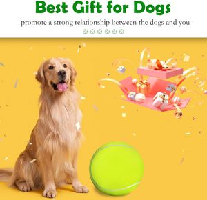 Eco-Friendly Dog Toy Ball Custom Logo Simple Style Squeaky Rubber Felt Chew Interactive Exercise <b>Biting</b> Tennis Balls Custom - Product Image 4