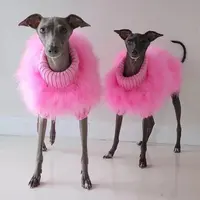 थोक गर्म डिजाइनर फैशन वसंत प्यारा कुत्ता स्वेटर कोट प्रदर्शन कुत्तों के लिए कपड़ा लक्जरी पालतू कपड़े कुत्ता पिल्ला