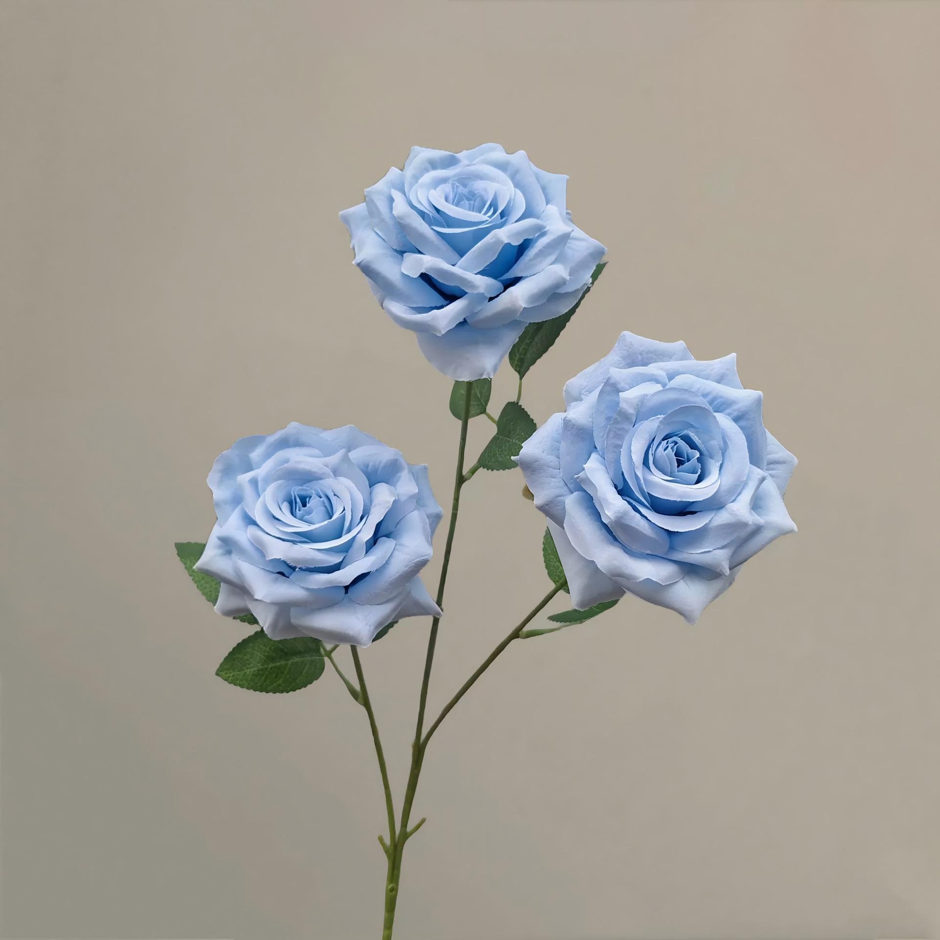 Bleu clair