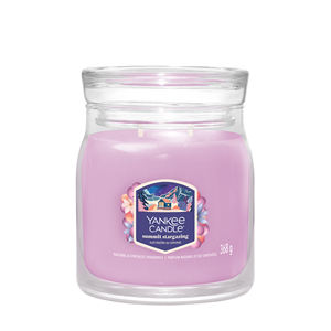 Yankee Candle - Pot moyen à 2 mèches Summit Stargazing - Product Image 1