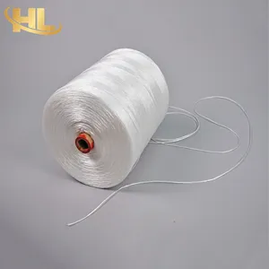 Wuxi Henglong OEM Wholesale UV Resistant Agriculture Green House Growing Vegetables Fruit PP White Poly Twine