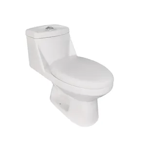 Güney amerikan sıcak sifon S tuzak 300 mm tek parça tuvalet ekonomik seramik tuvalet fabrika doğrudan satış tuvalet