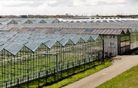 Serre agricole multi-spans en verre, kit de serre en verre
