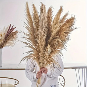 Khô tự nhiên pampas cỏ lớn Fluffy cao trang trí hoa cho đám cưới hoặc trang trí nội thất nhà Máy Giá quà tặng cho năm mới - Product Image 3