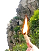 Outil d'allumage auxiliaire en laine de bois naturelle - Étanche, portable, coupe-vent pour un allumage facile en cuisine extérieure et sur les grils BBQ