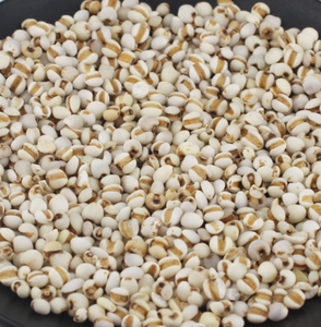 Frutti Interi Crudi di Job's Tears Yi Yi <span class=keywords><strong>Ren</strong></span> Essiccati Naturalmente in Vendita - Product Image 5