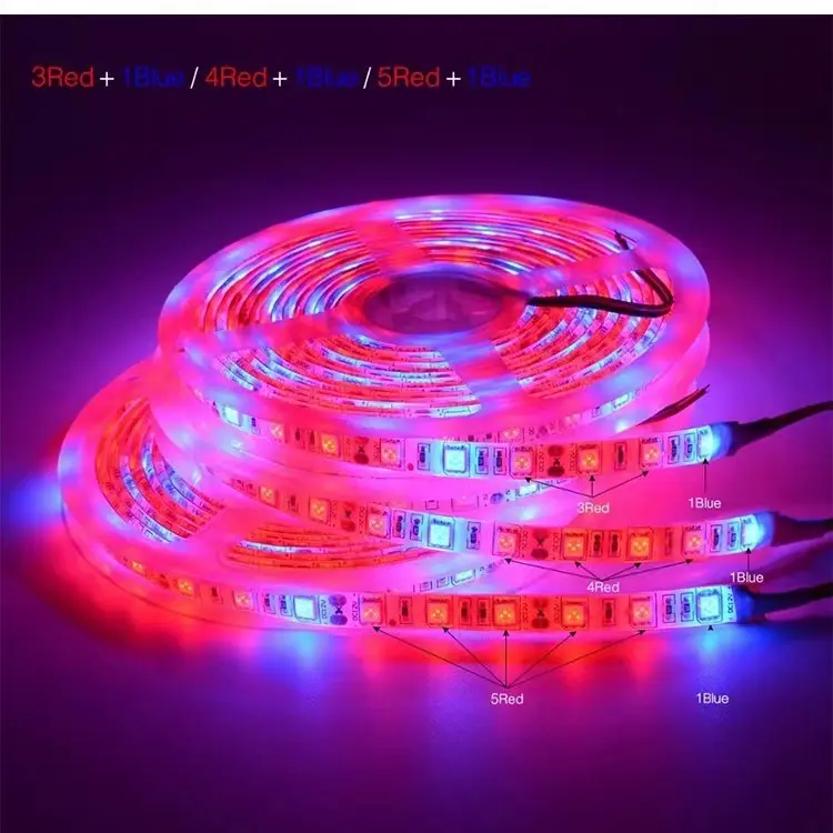 โรงงานที่กําหนดเอง 2835 5050 Ip20 65 เรือนกระจกต้นกล้าในร่มโคมไฟ Hydroponic Dc 12V 24V Led Strip เติบโตไฟ