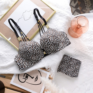 Conjunto de Lencería Femenina, Tanga y Brasier con Relleno, Cómodo, Suave, Sexy, con Escote Recogido, Estilo Deportivo y Lindo, Copa XL, Estampado de Leopardo, Sin Varillas - Product Image 4