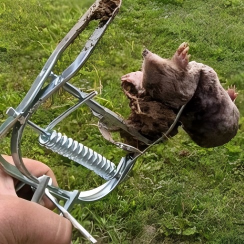 Le piège à souris en métal solide amélioré tue les taupes rapidement imperméable et résistant à la corrosion protégeant la pelouse et le sol du jardin - Product Image 5