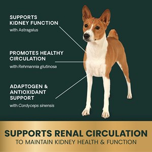 OEM/ODM Integratori Renali Veterinari per Gatti e <span class=keywords><strong>Cani</strong></span>, Supporto Renale Bilanciato, Formula Olistica - Product Image 5