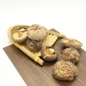 シイタケブロック栽培高品質乾燥真菌卸売オリジナル味付け - Product Image 3