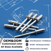 Rivets aveugles en acier inoxydable 304 avec mandrin moleté, rivets à tête dôme de type ouvert 3,2 mm, 4,0 mm, 4,8 mm