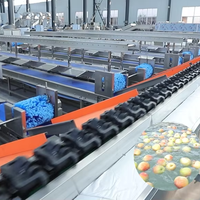 Commerciële Automatische Transportbandsorteermachine Voor Fruit En Groente Sortering Van Efficiënte Groenten-En Fruitsorteeranalyse