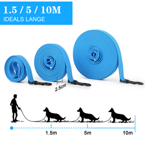 1.5m/3m/5m/10m forte larghezza 2.5cm guinzaglio cane multicolore durevole impermeabile cane addestramento guinzaglio e collare per cani e gatti - Product Image 6