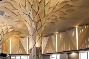 Trung Quốc Nhà Máy Tùy Chỉnh Hình Dạng Cấu Trúc Các Tòa Nhà Không Gian Khung Mái Kim Loại Nội Thất Trần Trang Trí Tấm - Product Image 6