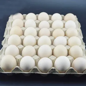 Carbon Egg Tray Biodegradable Disposable Packaging Transportation 30 Holes Packing Material Food Shanghai Hot Stamping HM Accept