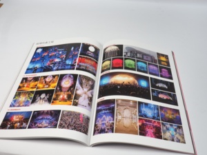 Fabricante de Impresión de Catálogos y Revistas Personalizadas que Ofrece Impresión Digital/Offset y Encuadernación Perfecta - Product Image 5