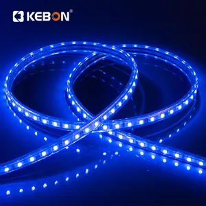 도매 높은 전압 야외 110v 220v SMD 5050 100m/롤 단일 색상 RGB Led 스트립 빛