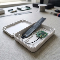 Antenne FPC interne personnalisée 2,4 GHz avec polarisation verticale et connecteur U.FL pour appareils WiFi