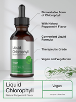 Supplément de gouttes de chlorophylle de marque privée OEM pour le soutien immunitaire et énergétique
