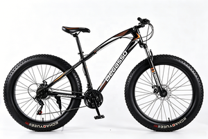 Venta caliente bicicleta de montaña 21/24/27/30 velocidad bicicleta de nieve personalizada MTB bicicleta - Product Image 5