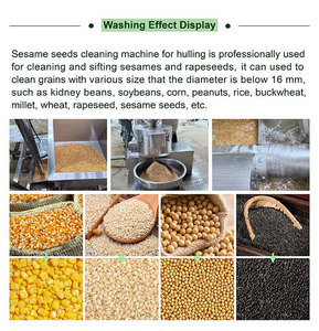 Semences de légumes <span class=keywords><strong>Chloris</strong></span> Gayana Seed Riz Sésame Machine de nettoyage Nettoyeur de blé rond Nettoyage de graines d'huile et de grains Machines à laver - Product Image 5