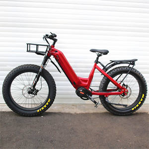 Vélo électrique à assistance au pédalage avec transmission par courroie 1000W, moteur central 48V, batterie 30Ah, vélo électrique 55KM/H, <span class=keywords><strong>moyeu</strong></span> <span class=keywords><strong>ROHLOFF</strong></span> - Product Image 3