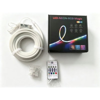 Bande LED Néon RGBIC Intelligente avec Application, Synchronisation Musicale, Effet Cheval Galopant, Vente en Gros Usine