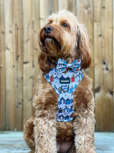 Arnés personalizado para perros de diseño 2024, chaleco de nailon sin tirones, conjunto de correa de cuello Rosa Suave, accesorios acolchados para perros - Product Image 4