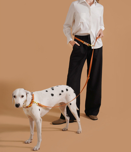 Conjunto de Correa y <span class=keywords><strong>Collar</strong></span> para Mascotas de Cuero PU Trenzado a Mano, Ajustable, Duradero, Suave y de Lujo, Correa Retráctil para Perros con Manos Libres - Product Image 6