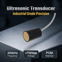 Transducteur ultrasonique 200 kHz, distance de détection 0,10~1,5 m, sonde à ondes de surface, amplificateur, mesure de vitesse du gaz, mesure de distance, CE
