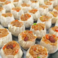 Machines Siomai d'approvisionnement d'usine Petites machines manuelles semi-automatiques multifonctionnelles Baozi Wonton Dumpling Siomai Making Machine