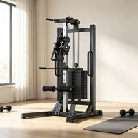 Station de musculation murale avec fonction squat pour l'entraînement de la poitrine, des bras et des épaules, construction en acier, capacité de 70 kg