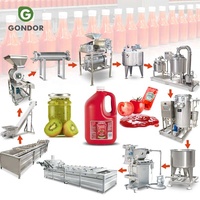 Industriële kleine schaal verwerkingsinstallatie voor tomaten, inclusief machine voor het maken van tomatenpuree, te koop.