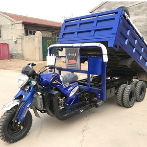 Tricycle à moteur à essence robuste de 300 cm³ et 350 cm³, best-seller, avec capacité de chargement de 9 roues - Product Image 2