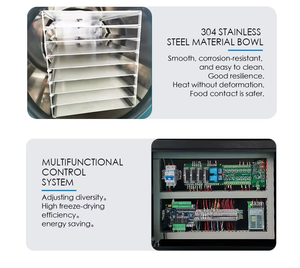 Woming Super Quality Freeze <strong>Dryer</strong> HFD-10 Household <strong>Economical</strong> Freeze Drying Machine Lyophilizer 15 kg Per Batch - Product Image 5